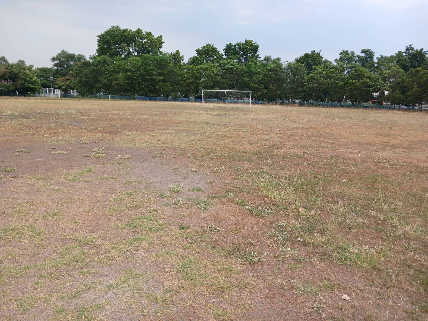 รูปที่ 5